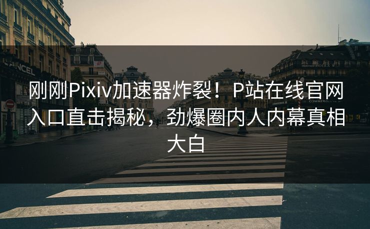 刚刚Pixiv加速器炸裂！P站在线官网入口直击揭秘，劲爆圈内人内幕真相大白