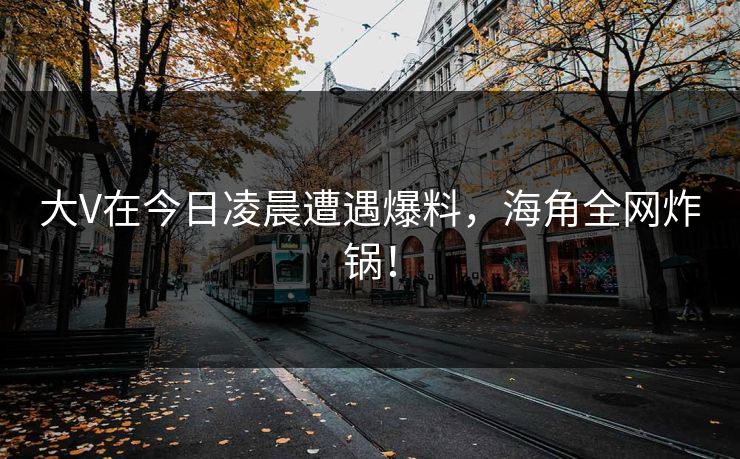 大V在今日凌晨遭遇爆料，海角全网炸锅！