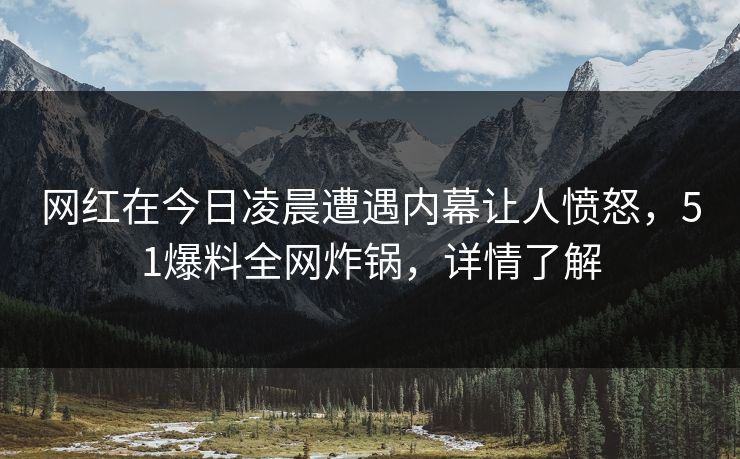 网红在今日凌晨遭遇内幕让人愤怒，51爆料全网炸锅，详情了解