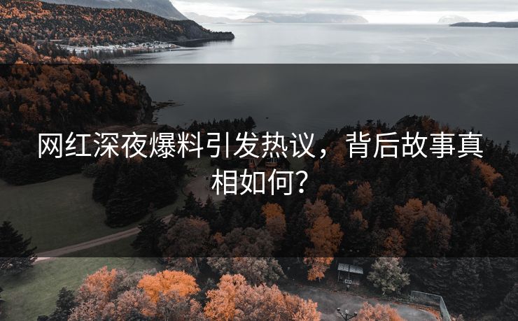 网红深夜爆料引发热议，背后故事真相如何？