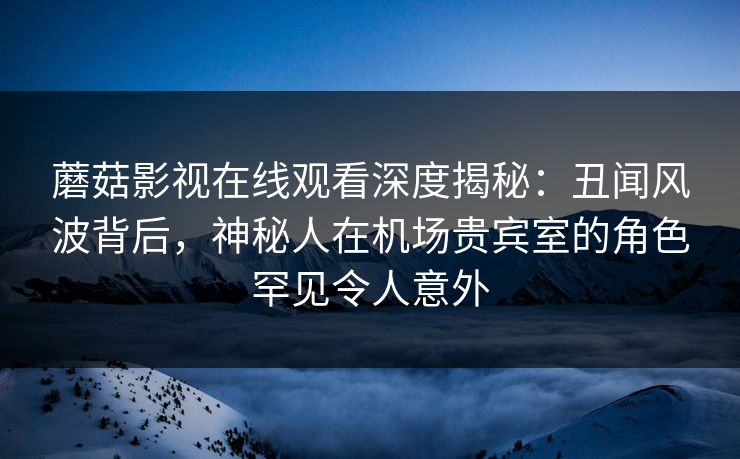 蘑菇影视在线观看深度揭秘：丑闻风波背后，神秘人在机场贵宾室的角色罕见令人意外