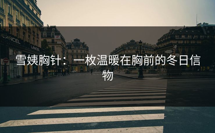 雪姨胸针:一枚温暖在胸前的冬日信物 雪姨胸针:一枚温暖在胸前的冬日信物