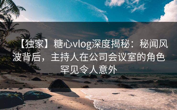 【独家】糖心vlog深度揭秘：秘闻风波背后，主持人在公司会议室的角色罕见令人意外