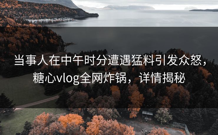当事人在中午时分遭遇猛料引发众怒，糖心vlog全网炸锅，详情揭秘